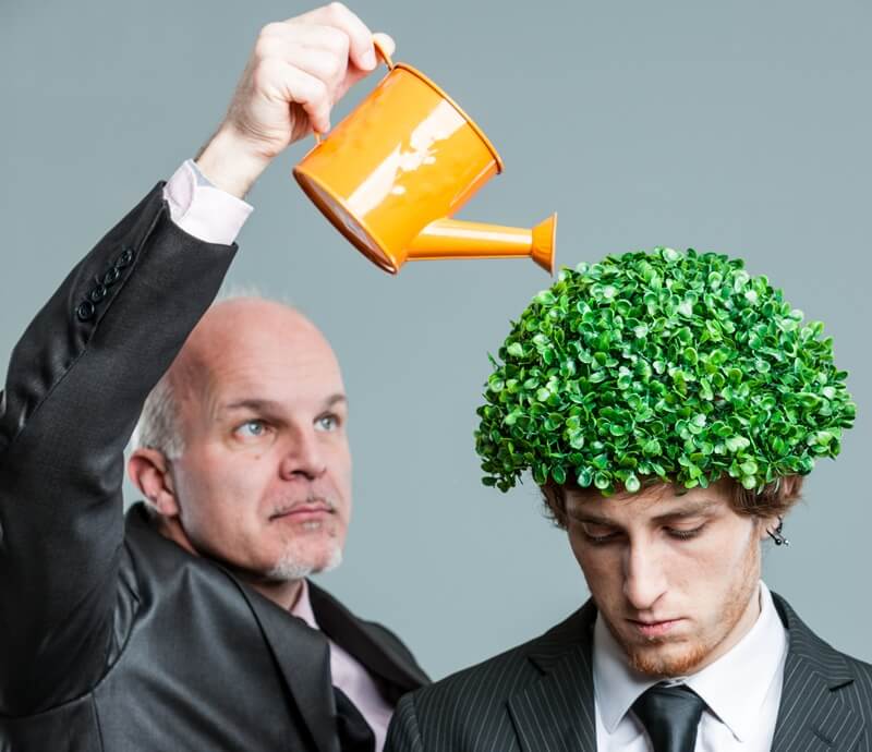 management